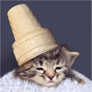 cat-kitten-with-ice-cream-cone-on-head_-28ob54z